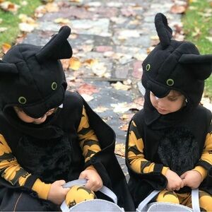 Pottery barn Kids Bat Costume